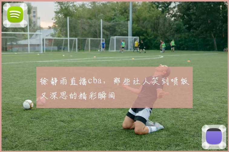 徐静雨直播cba,那些让人笑到喷饭又深思的精彩瞬间