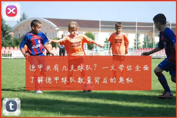 德甲共有几支球队？一文带你全面了解德甲球队数量背后的奥秘