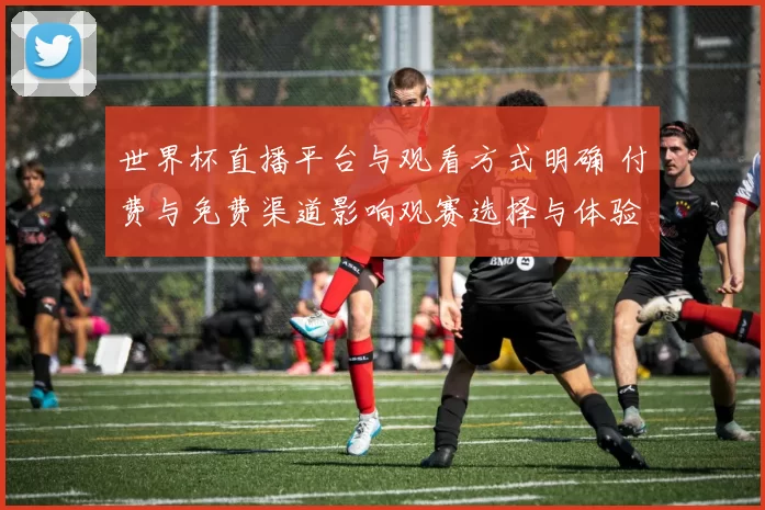 世界杯直播平台与观看方式明确 付费与免费渠道影响观赛选择与体验
