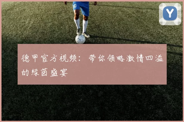 德甲官方视频：带你领略激情四溢的绿茵盛宴