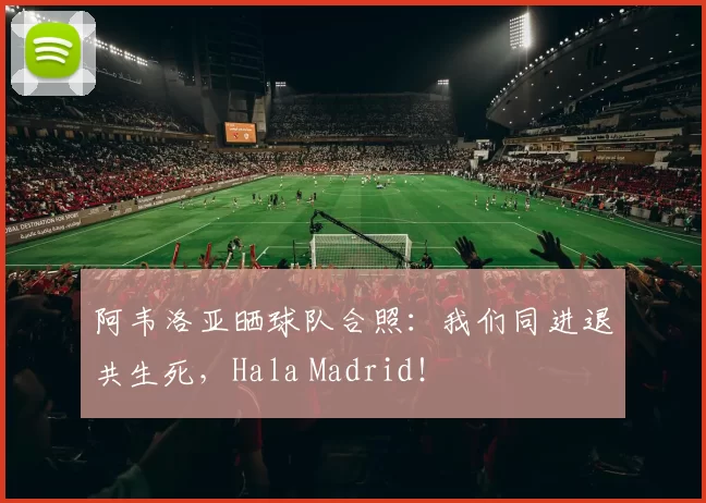 阿韦洛亚晒球队合照：我们同进退共生死，Hala Madrid！