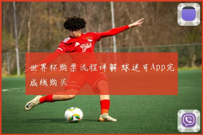 世界杯购票流程详解 球迷可App完成线购买