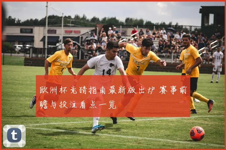 欧洲杯竞猜指南最新版出炉 赛事前瞻与投注看点一览